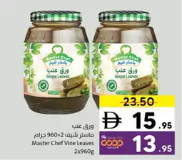 Sharjah Co-op Master Chef Vine Leaves offer