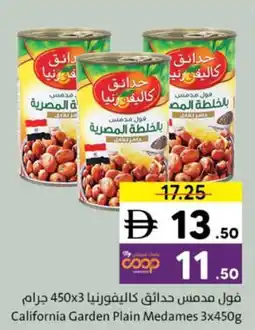 Sharjah Co-op California Garden Plain Medames offer