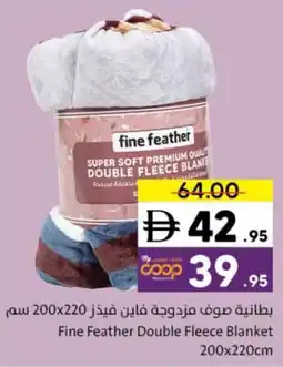 Sharjah Co-op Fine Feather Double Fleece Blanket offer