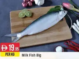 West Zone Supermarket Milk Fish Big offer