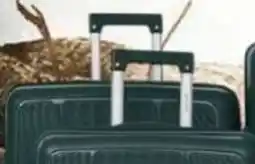 Grand Hyper Market Parajohn PJTR4064 PP Trolley offer