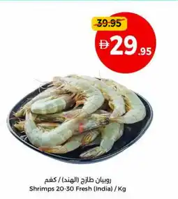 Union Coop Shrimps 20-30 Fresh offer