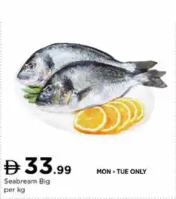 Nesto Seabream Big offer