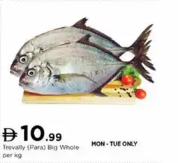 Nesto Trevally Para Big Whole offer