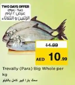 Nesto Trevally Para Big Whole offer