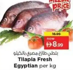 Nesto Tilapia fresh egyptian offer