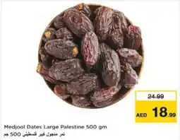 Nesto Medjool Dates Large Palestine offer