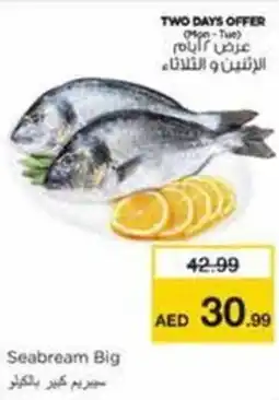 Nesto Seabream Big offer