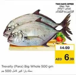 Nesto Trevally Para Big Whole offer