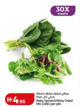 Lulu Hypermarket Baby Spinach / Baby Salad Mix offer