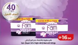 Lulu Hypermarket Fam Maxi with Wings offer