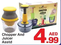Day To Day Chopper And Juicer offer