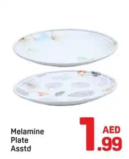 Day To Day Melamine Plate Asstd offer