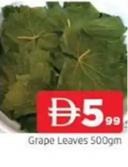 Abraj Al Madina Grape Leaves offer