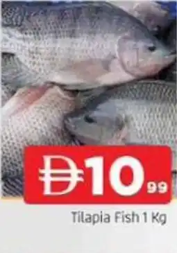 Abraj Al Madina Tilapia Fish offer
