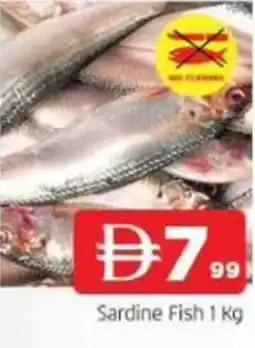Abraj Al Madina Sardine Fish offer