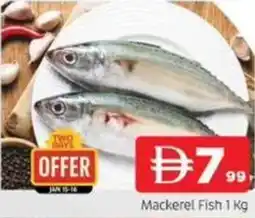Abraj Al Madina Mackerel Fish offer