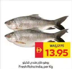 Spar Fresh Roho India offer