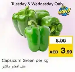 Nesto Capsicum Green offer