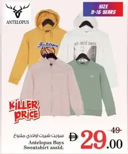 Nesto Antelopus Boys Sweatshirt asstd. offer