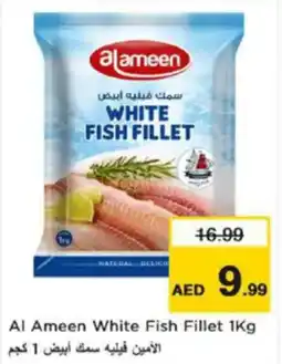 Nesto Al Ameen White Fish Fillet offer