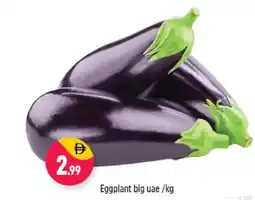 Shaklan Eggplant big offer