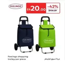 Carrefour Feelings shopping trolley offer