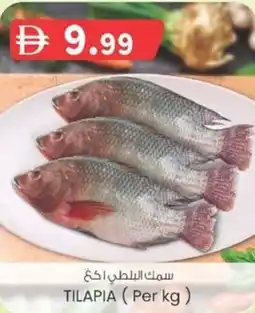 KM Trading Tilapia offer