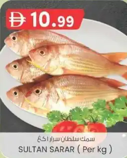 KM Trading Sultan sarap offer