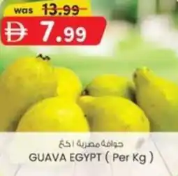 KM Trading Guava egypt offer