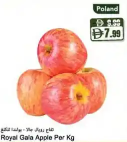 Almaya supermarket Royal Gala Apple offer