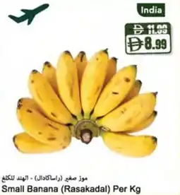 Almaya supermarket Small Banana (Rasakadal) offer