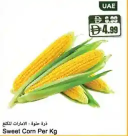Almaya supermarket Sweet Corn offer