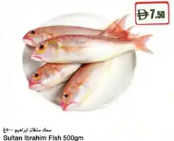 Almaya supermarket Sultan Ibrahim Fish offer