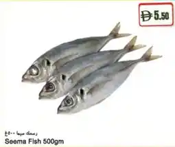 Almaya supermarket Seema Fish offer