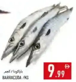 Rawabi Market Barracuda offer