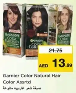 Nesto Garnier Color Natural Hair Color Assrtd offer