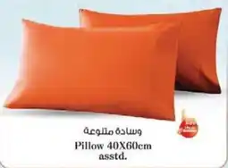 Nesto Pillow asstd offer