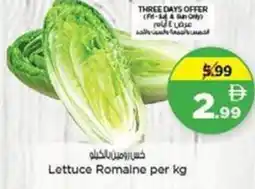 Nesto Lettuce Romaine offer