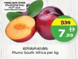 Nesto Plums South Africa offer
