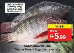 Nesto Tilapia Fresh Egyptian offer