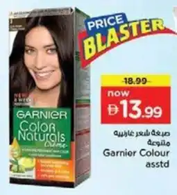 Nesto Garnier Colour offer