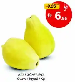 Union Coop Guava offer