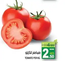 Hashim Hypermarket Tomato offer