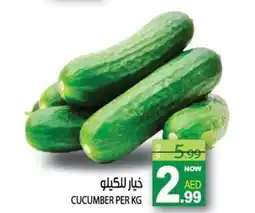 Hashim Hypermarket Cucumber offer
