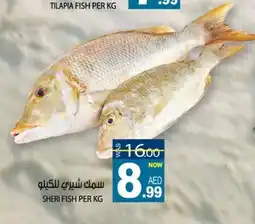 Hashim Hypermarket Sheri fish offer