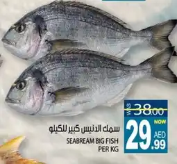 Hashim Hypermarket Seabream big fish offer