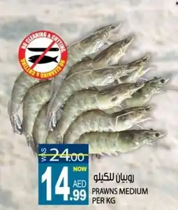 Hashim Hypermarket Prawns medium offer