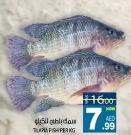 Hashim Hypermarket Tilapia fish offer