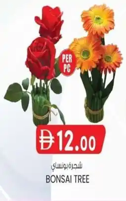 KM Trading Bonsai tree offer